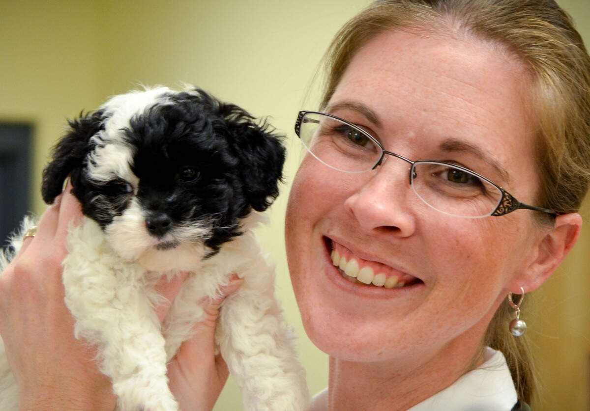 Veterinarian Cierra Tabony said monitoring your pet for signs of arthritis is particularly important during the winter months.
