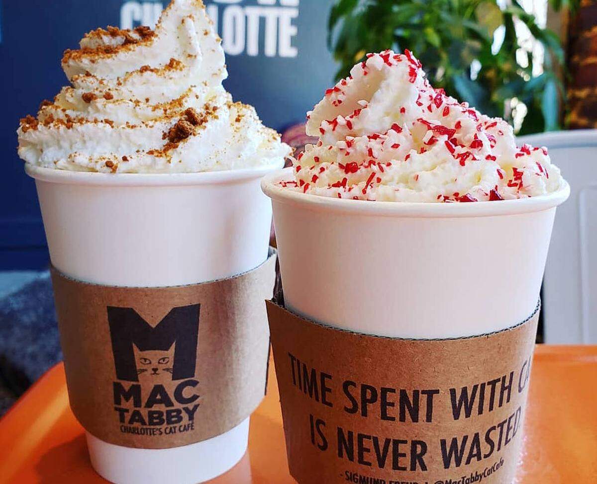 Mac Tabby’s Gingerbread Latte and Peppermint Mocha Latte both start with a double shot of espresso.