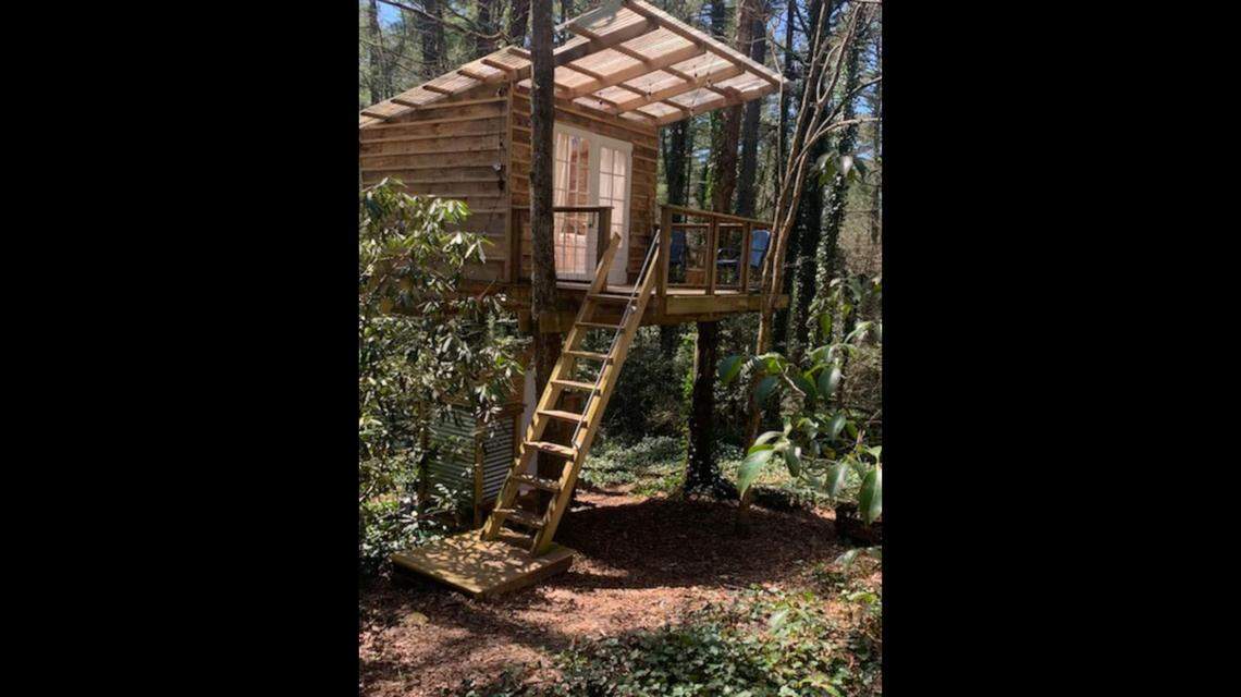 A treehouse has the best Airbnb host in North Carolina, the company said.