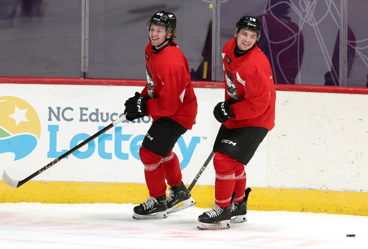 AHL playoffs advance: Charlotte Checkers vs. Providence Bruins ...