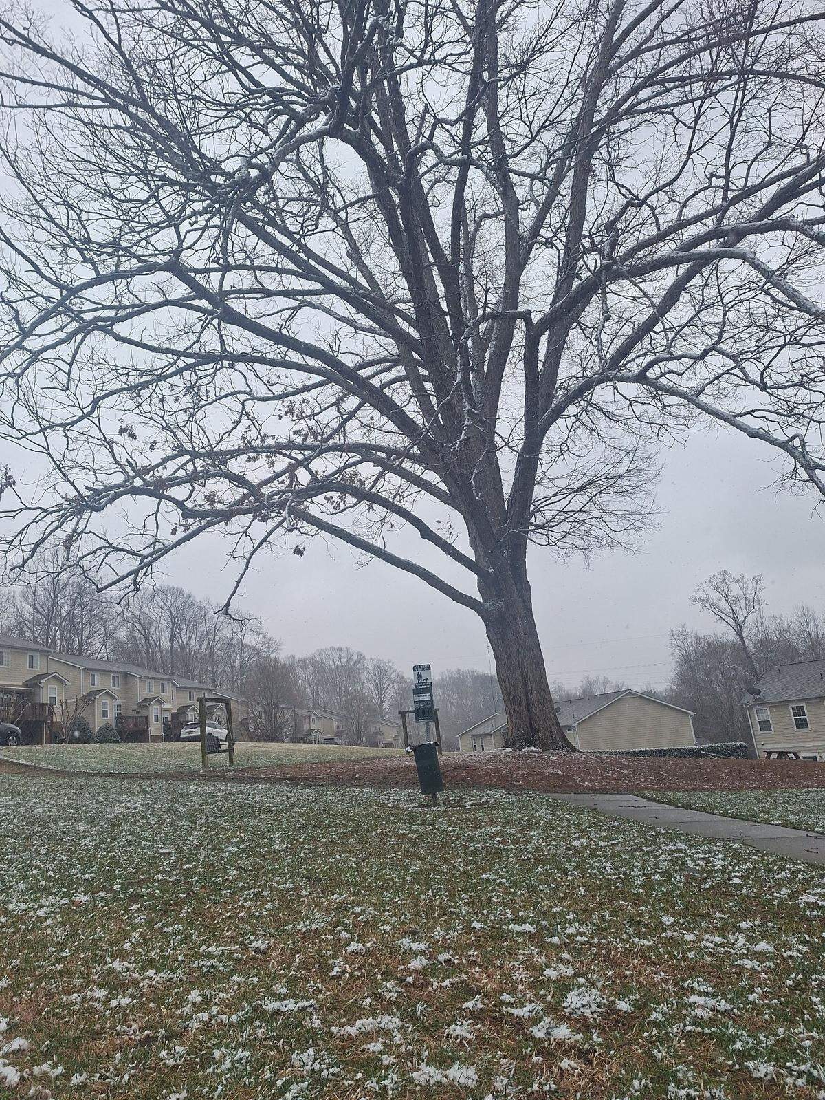 Snow began sticking to the ground in the Sunridge Place community near Interstate 77 Exit 35 and Lake Norman in Mooresville NC on Wednesday afternoon, Feb. 19, 2025.