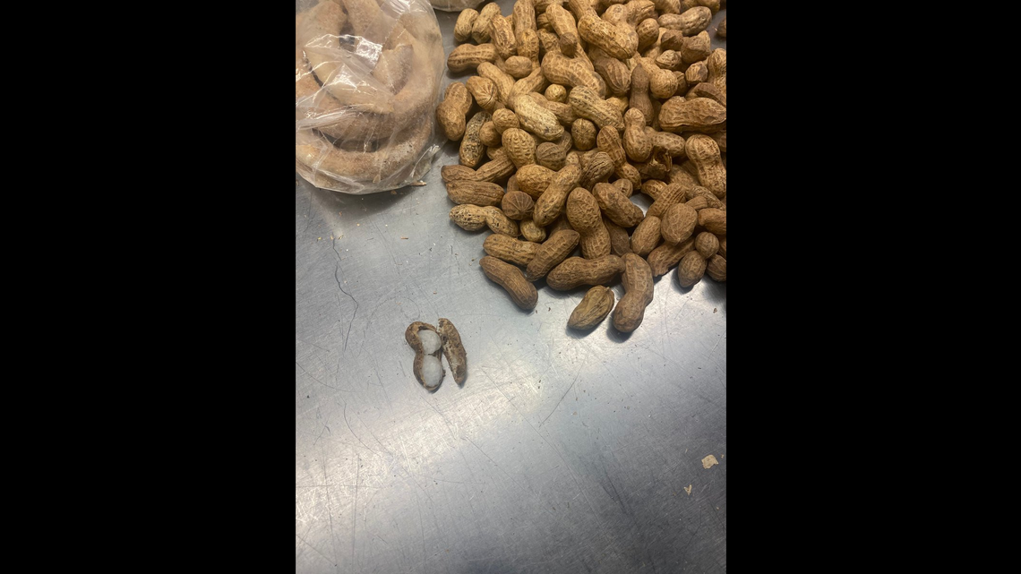 U.S. Customs and Border Protection says officers recently found meth stuffed in peanut shells in a shipment at a Memphis, Tennessee, facility