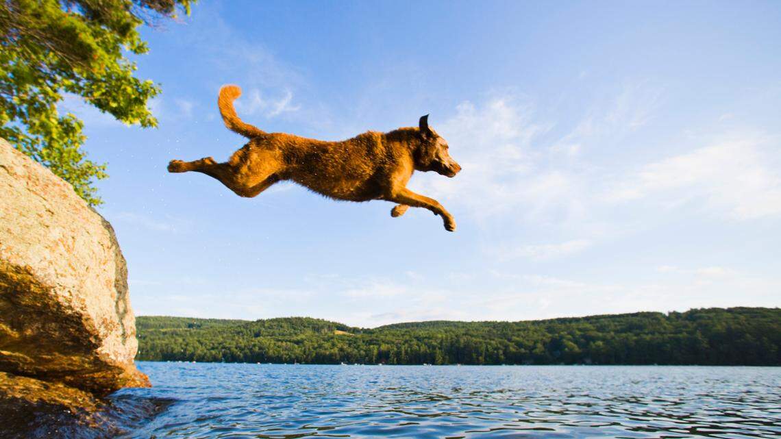 On Leap Years, an extra day is added to the calendar: Feb. 29.