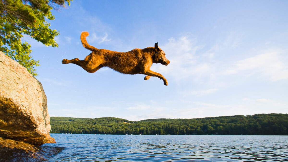 On Leap Years, an extra day is added to the calendar: Feb. 29.