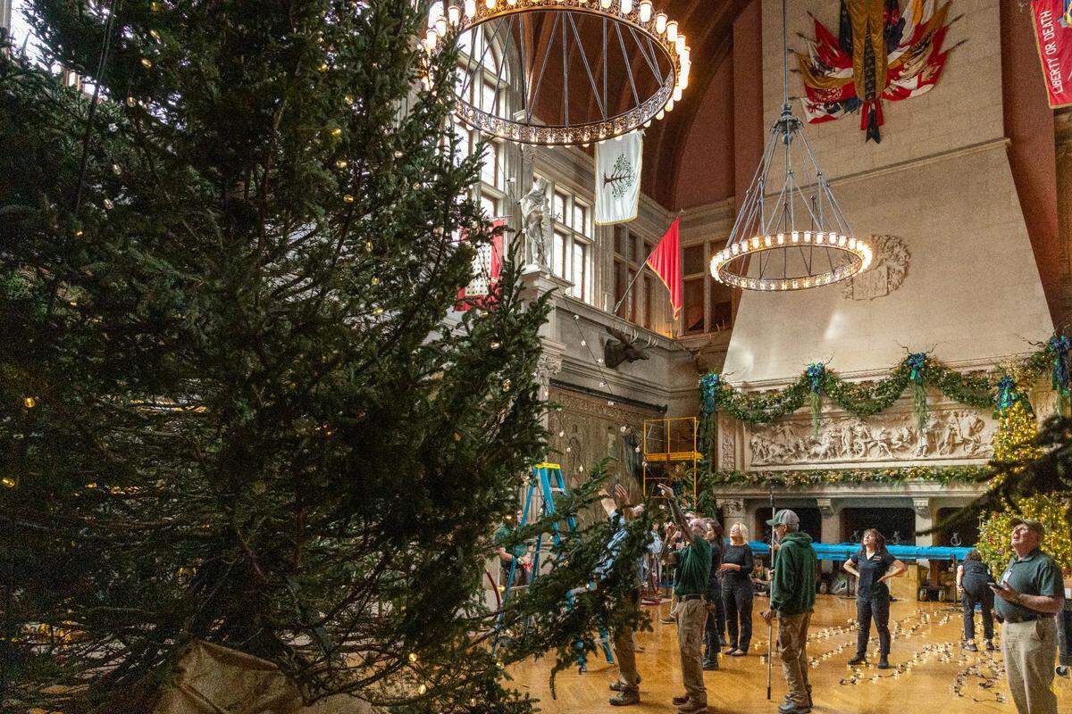 Crews setting up the 35-foot Christmas tree in the Banquet Hall of Biltmore House