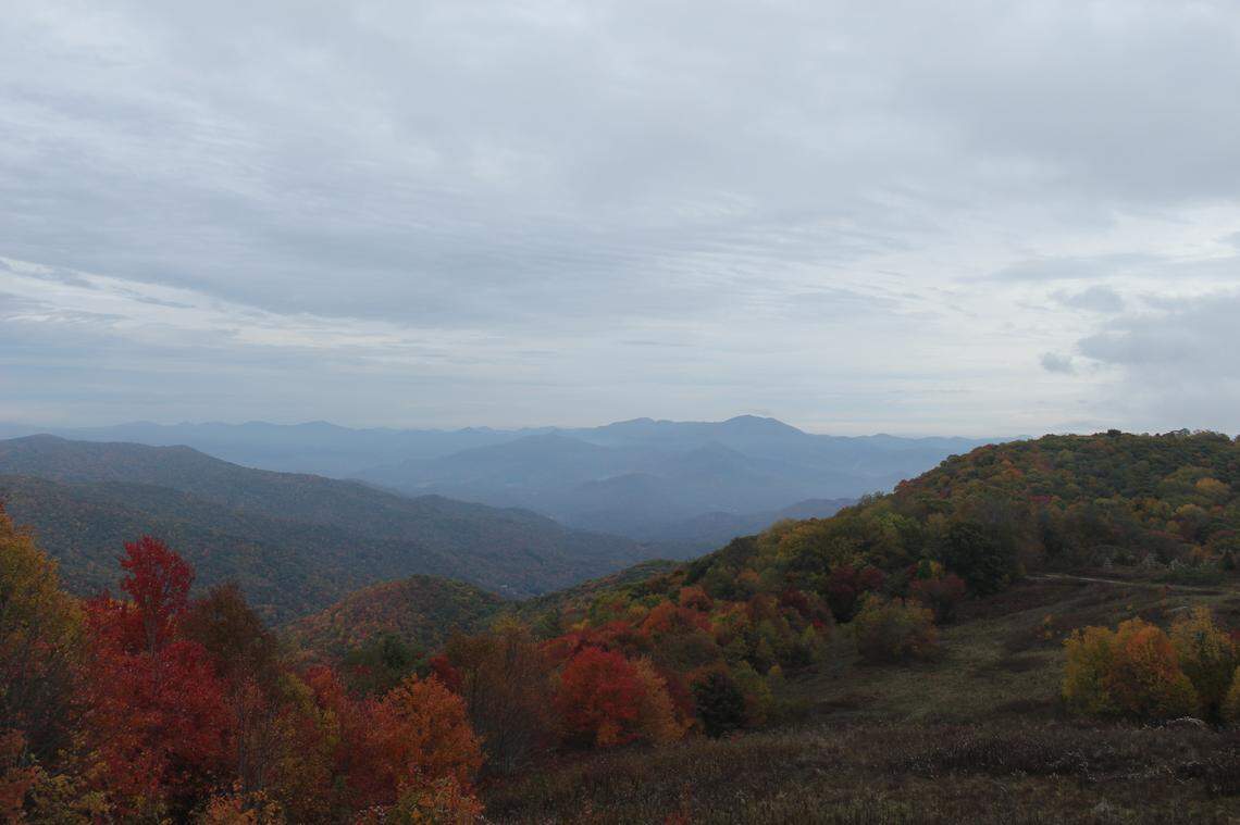 Red, orange and yellow leaves were visible Friday from the Purchase Knob webcam in Great Smoky Mountains National Park.