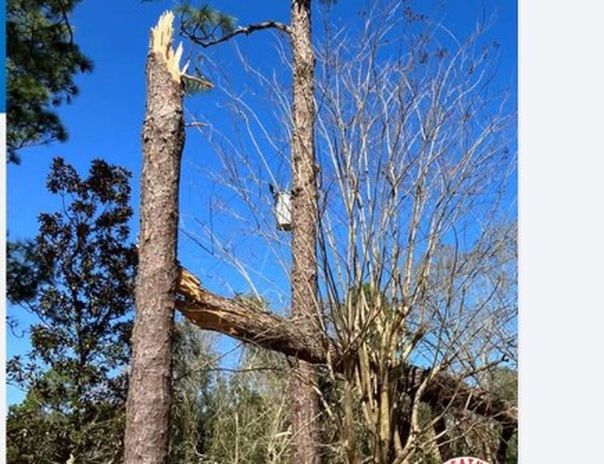 A 90-100 mph, EF-1 tornado near Fairfield Harbour in Craven County snapped trees and ripped shingles from homes, according to the National Weather Service.