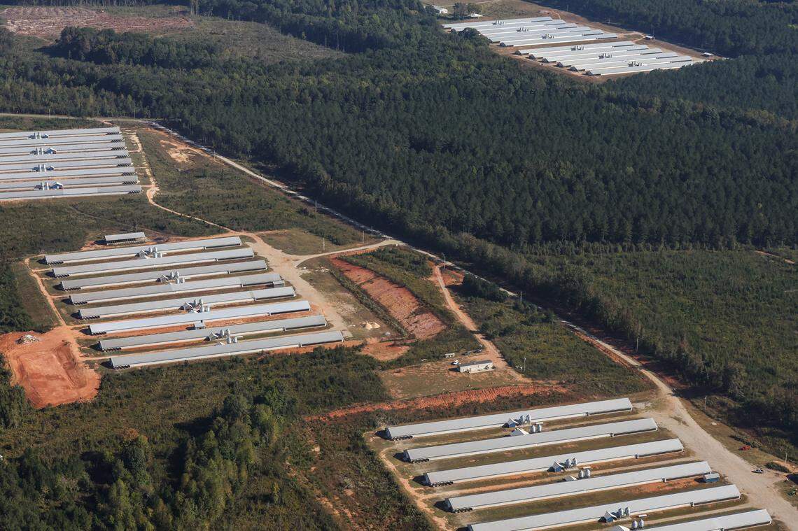 Anson County, southeast of Charlotte, produces some 59 million chickens and turkeys a year. They’re raised in barns that stretch as long as 600 feet. Here are some of those barns, as seen from the air.