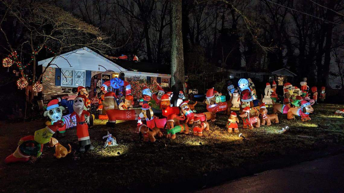 A very dense nighttime Christmas display features a large collection of inflatable dachshund dogs in Santa outfits, along with other novelty characters like Jack Skellington. The inflatables brightly light up the front lawn of a one-story house against a backdrop of dark trees and shrubs.