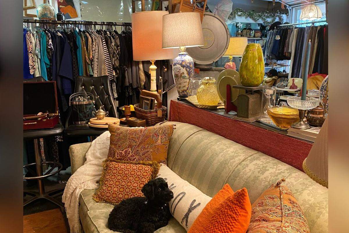 This charming store in Elizabeth is home to theatrical dresses, eclectic home decor, striking jewelry, and on occasion, a friendly dog.