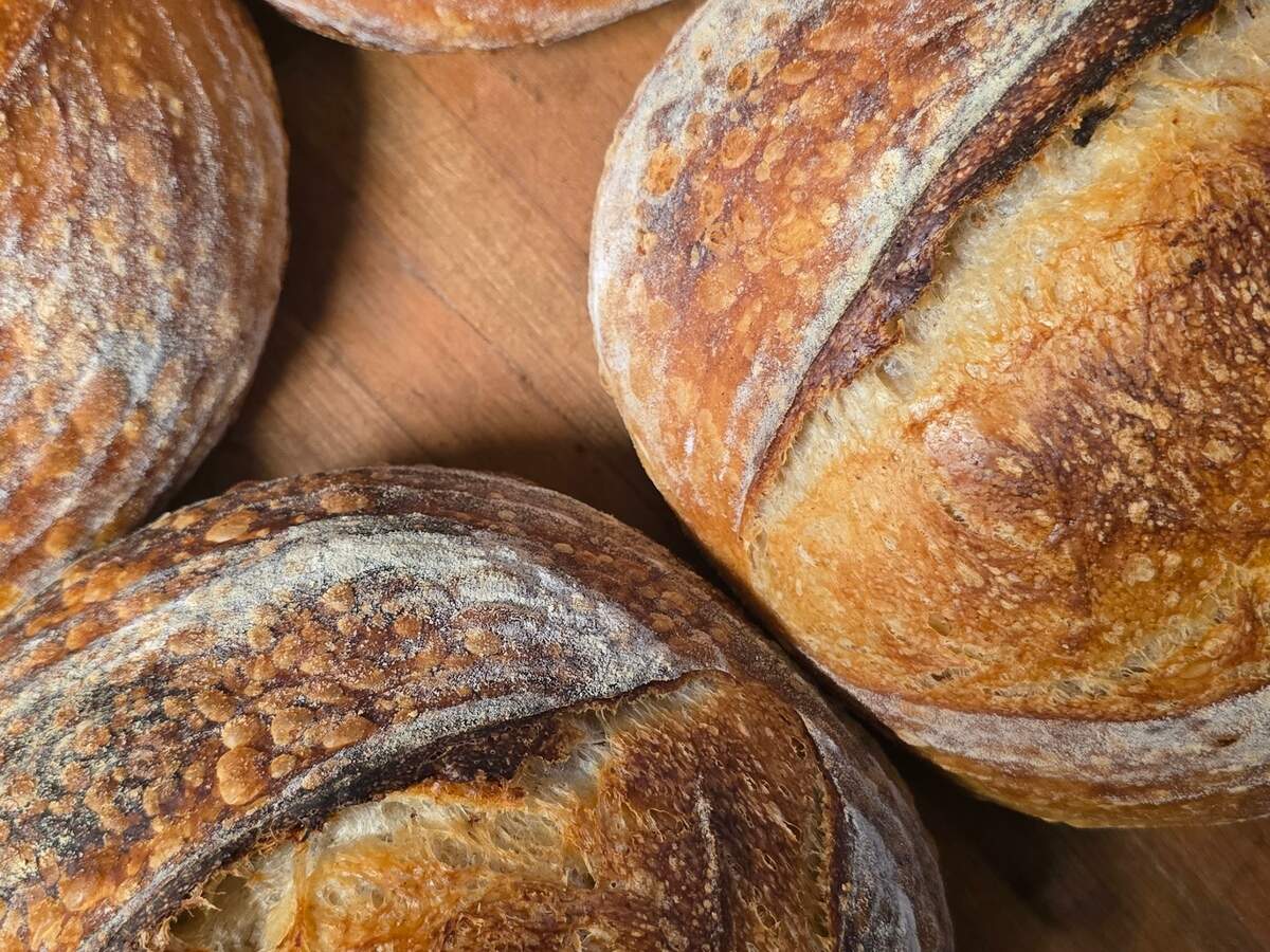 Virtuoso is best known for its signature sourdough, a clean and crusty bread made from starter, flour and water.