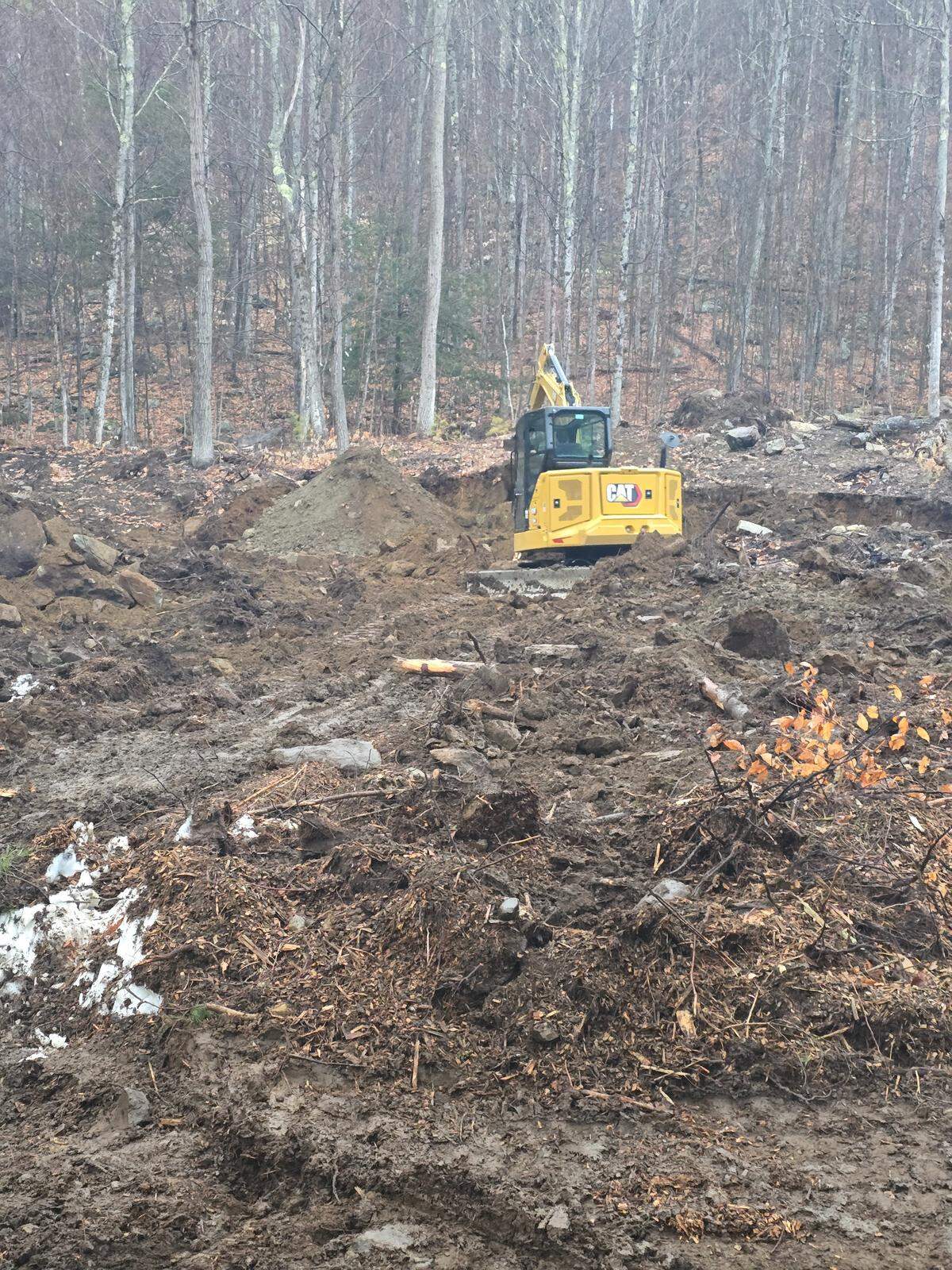 A photo of Tara Swicicki’s property in upstate New York. Swicicki and her family hoped the kit from American Log Homes would be a step toward establishing a homestead there.