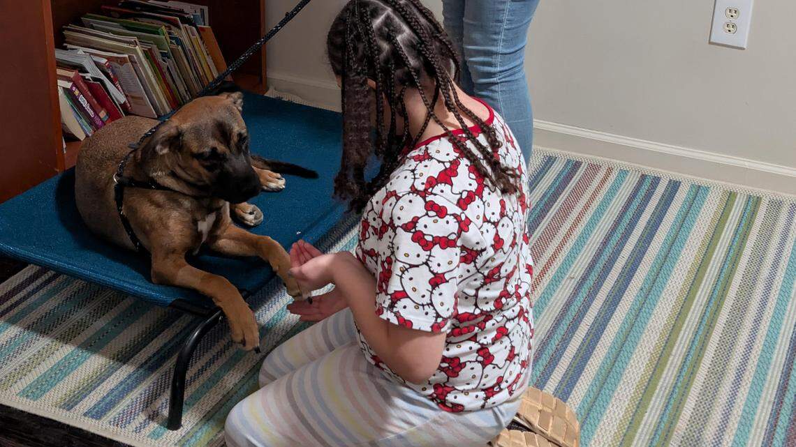 At a special NC program, dogs and kids heal together | Opinion
