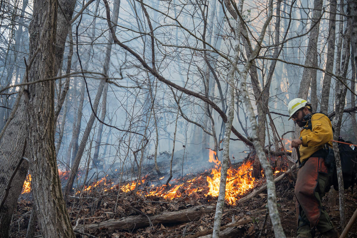 The Winding Stairs Alpha Fire topped 230 acres before it was declared 90% contained. It is located in Nantahala National Forest in southwestern North Carolina.