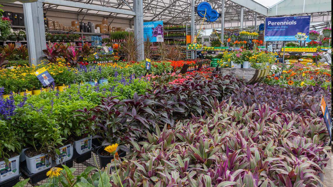 Lowe’s CEO on housing market difficulties, and what’s next for the company