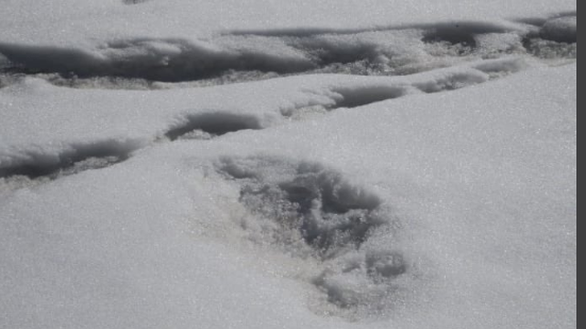 Is this a footprint of the Abominable Snowman? The Indian Army thinks so.