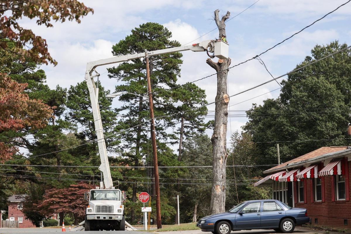 Crews work on cutting down an oak tree along West Sugar Creek Road on Oct. 12. It was the last of 22 mature trees that were cut down on a two-block stretch in Derita.