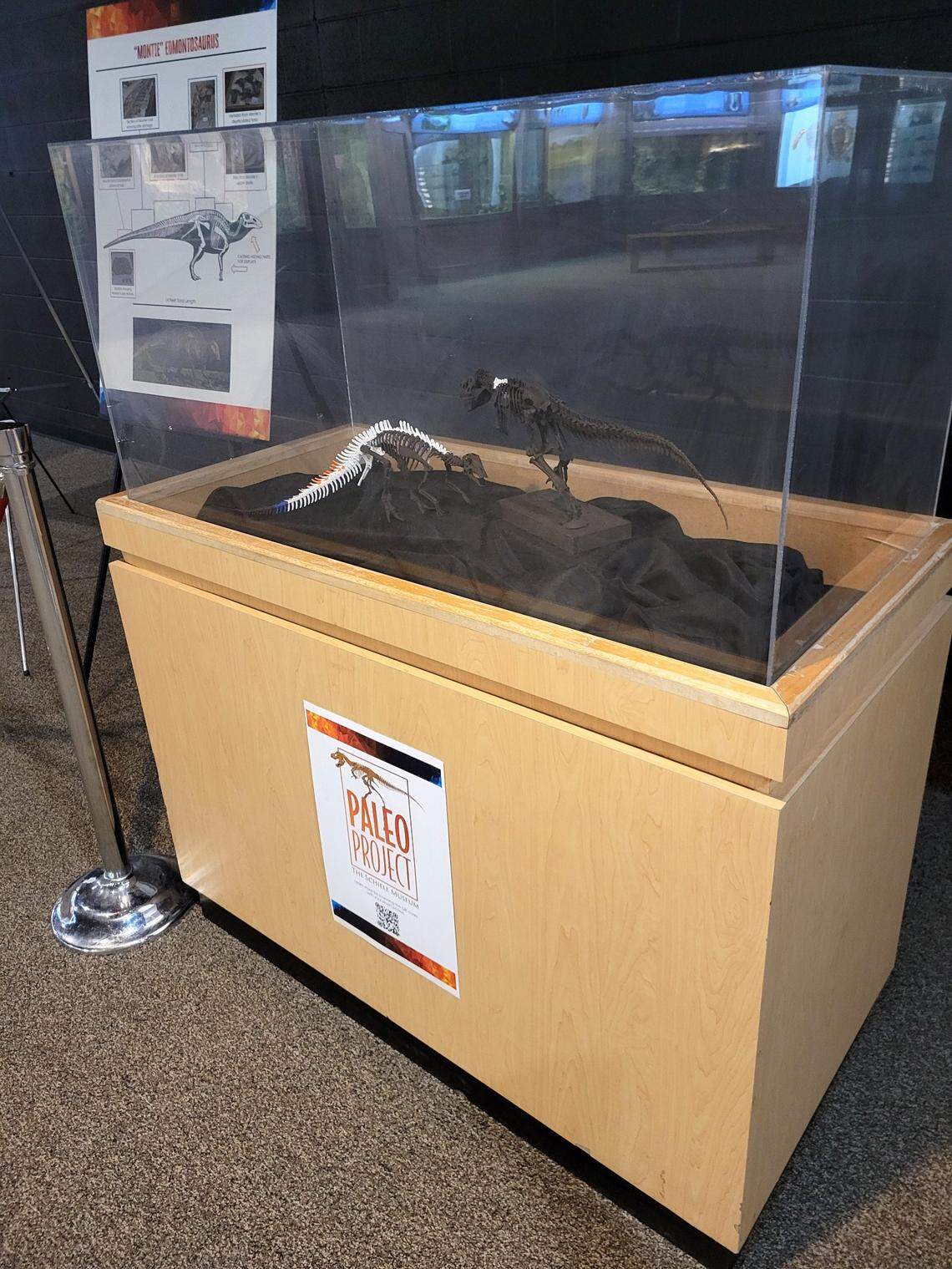 A display at the Schiele Museum about its upcoming Hall of Dinosaurs includes a rendering of the fossils that will be in the exhibit