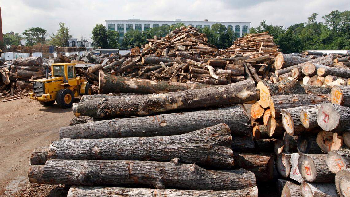 High lumber prices brought on by the pandemic have started to dip but remain elevated.