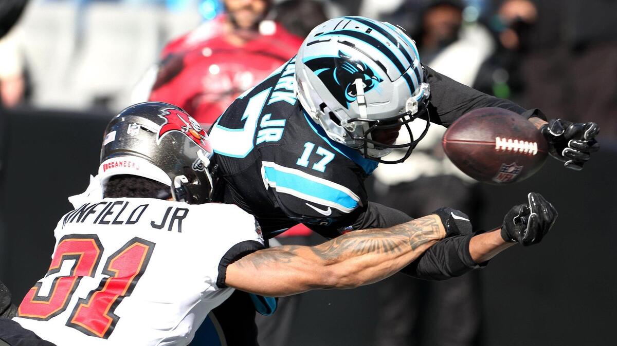 A record-breaking season for Panthers — in all the wrong ways ...