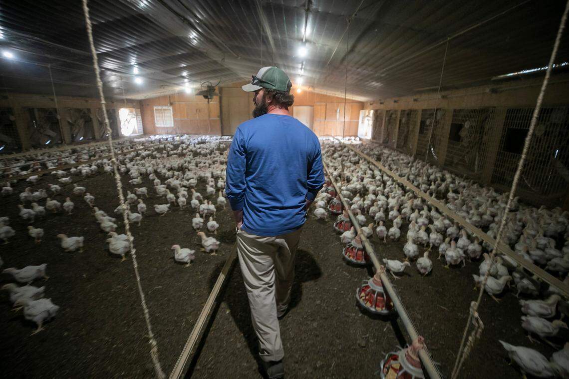 North Carolina’s farmers may be affected by retaliatory tariffs.