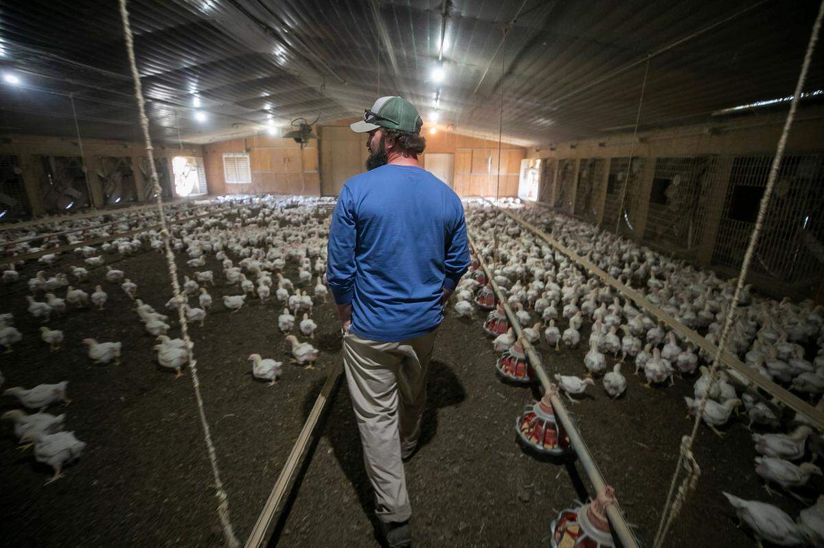 North Carolina’s farmers may be affected by retaliatory tariffs.