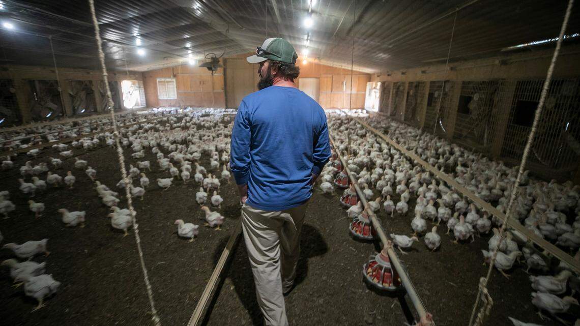 North Carolina’s farmers may be affected by retaliatory tariffs.