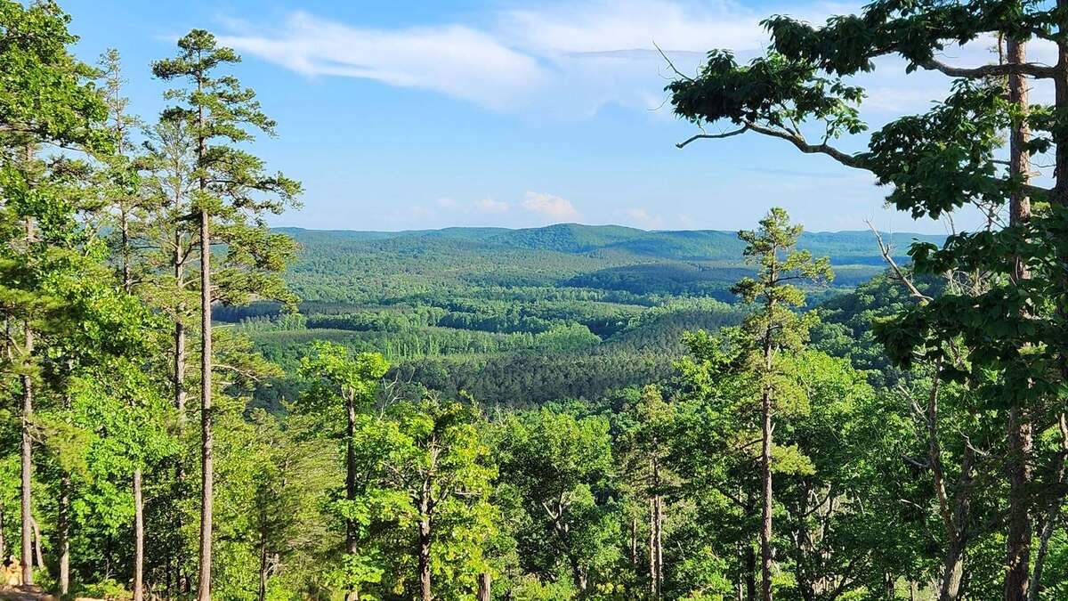An investigation revealed the juvenile driver lost control of the vehicle, ran off the road and flipped near the intersection of Moccasin Creek Road and Deep Water Trail in Uwharrie National Forest, the N.C. Highway Patrol reports.
