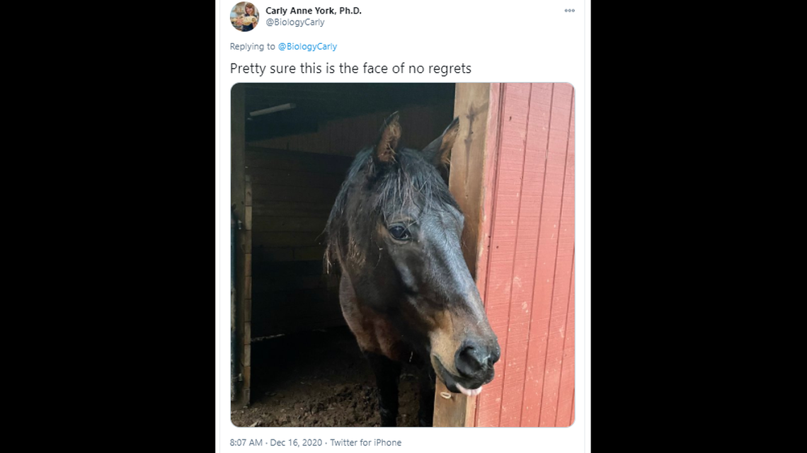 This is one of Carly Anne York’s tweets highlighting Violet’s eccentric behavior.