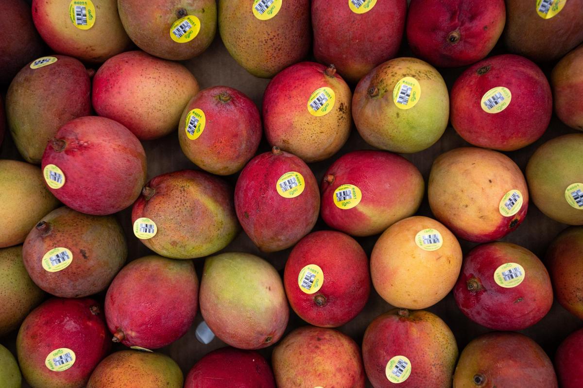 Mangos are among the food items that were given out at the Charlotte-Mecklenburg Schools mobile pantry at Westerly Hills Academy Tuesday evening in Charlotte. The donated items came Second Harvest Food Bank of Metrolina.