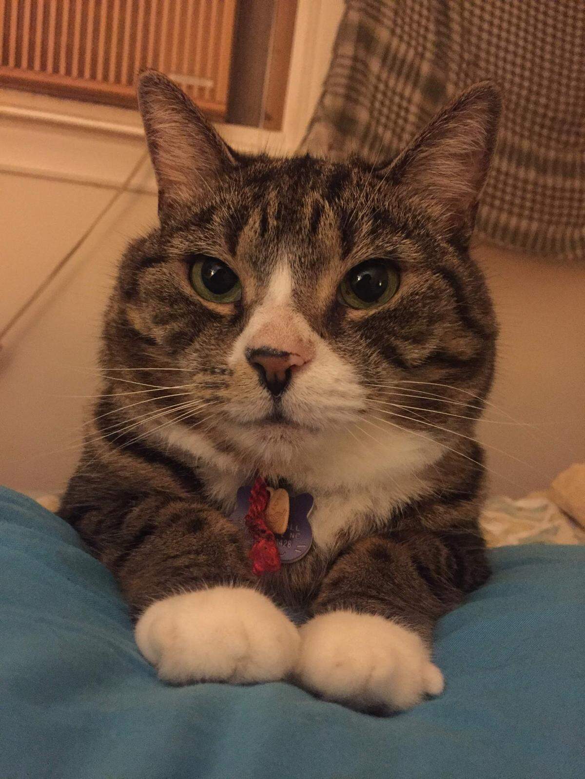 Weez loves being close to her mom, Marshall said.