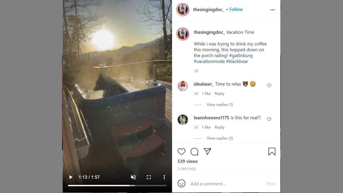 A bear was caught on video soaking in a hot tub in Tennessee.