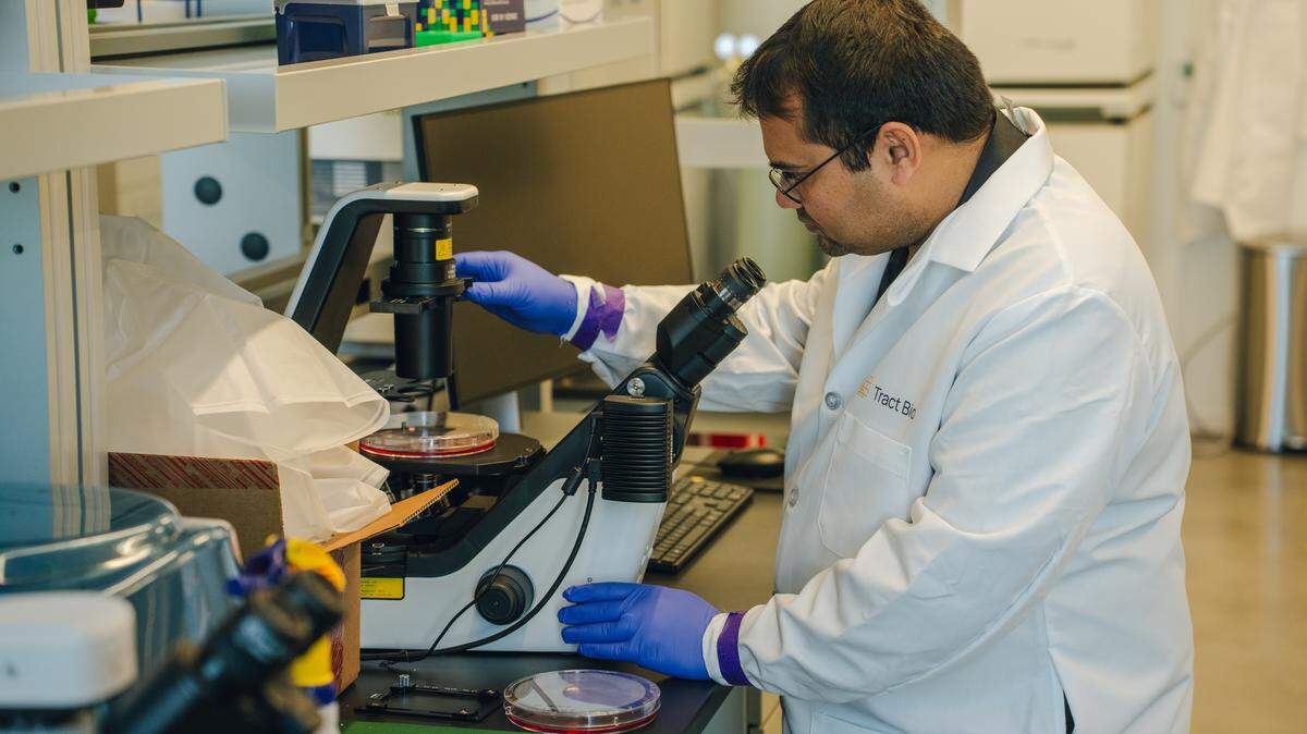 Researchers at Tract Bio are doing lab work at The Pearl to discover and develop novel therapies for cancer and inflammatory diseases.