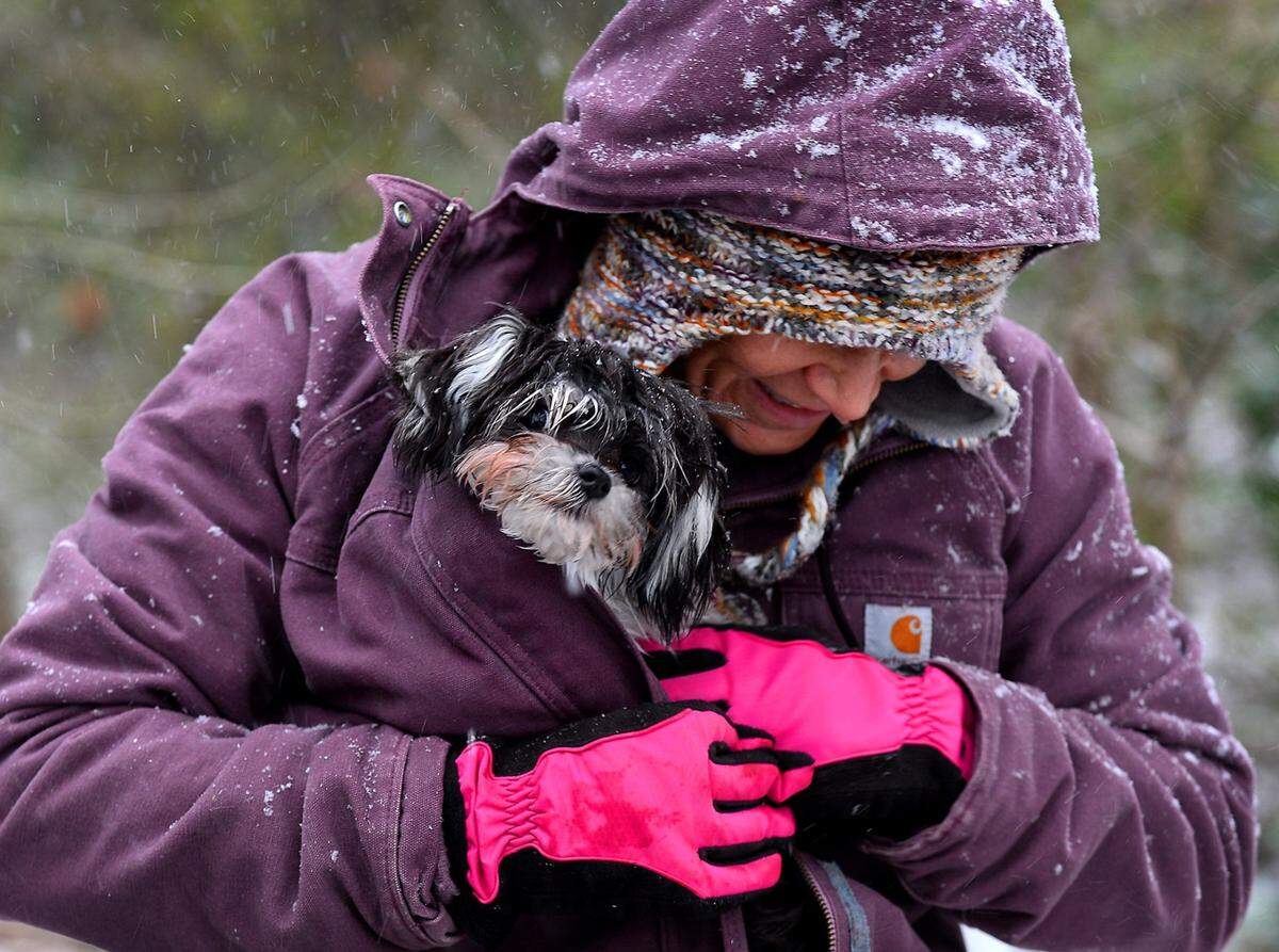 As the snow falls, Lisa Mayville, places Jacksonville inside her coat for additional warmth as she enjoyed a walk with her husband, Rob Mayville and their other four dogs in Matthews in January 2012