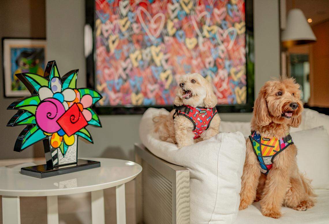 BRITTO store includes pet products with artwork by Romero Britto.