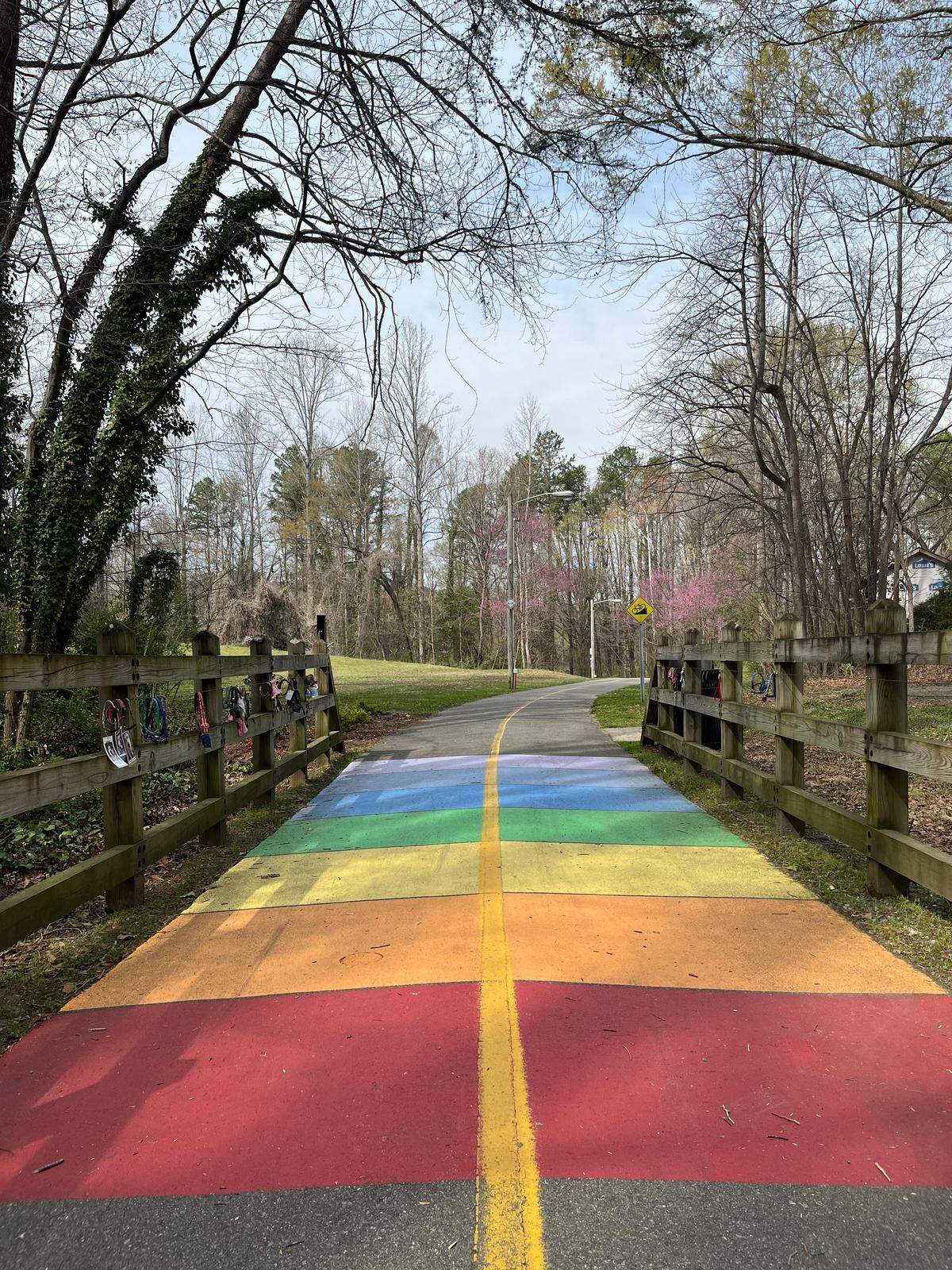 Here’s a look at the Rainbow Bridge along the Marcia H. Cloninger Rail-Trail.
