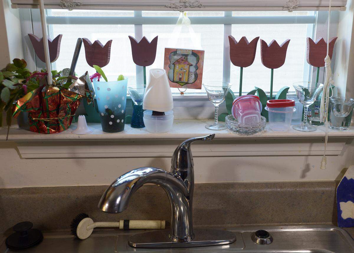 Picture of a house at the sink window in Leslie Williams’ kitchen. Her house is now valued at $237,500, a 188 percent increase from its 2011 value.