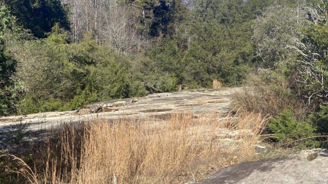 ‘Rare habitat’ on historic NC farm saved from development in fast-growing region
