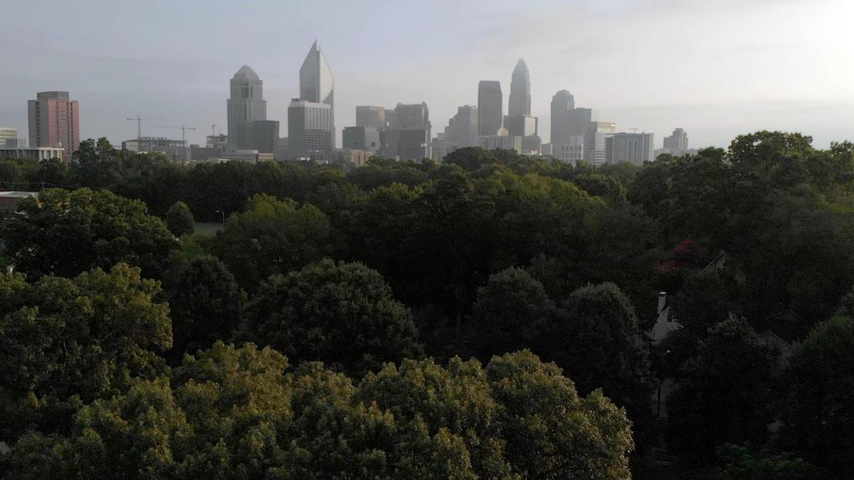 Builder perspective: Let’s be realistic about tree preservation in Charlotte