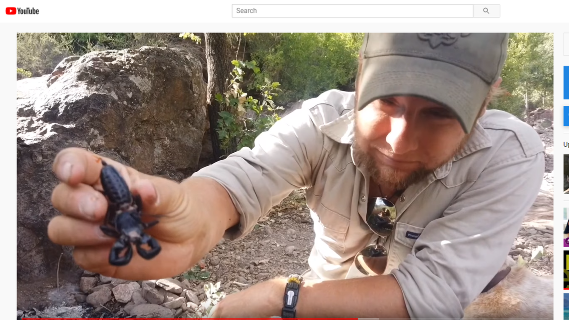 The same survivalist who fried a rattlesnake last fall is now demonstrating how to eat scorpions