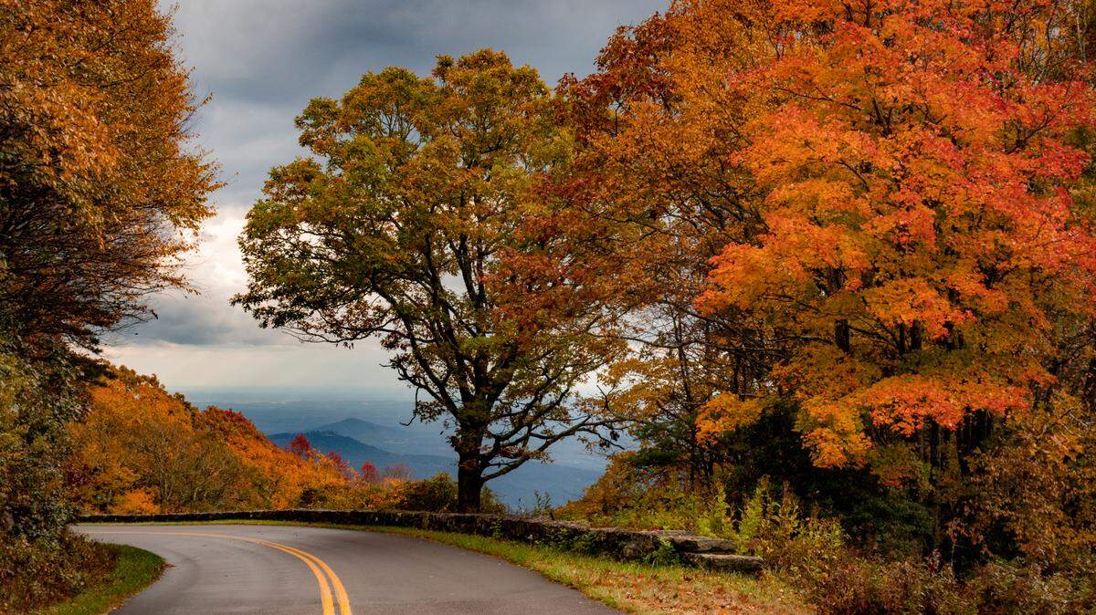 Beautiful fall colors along the Blue Ridge Parkway