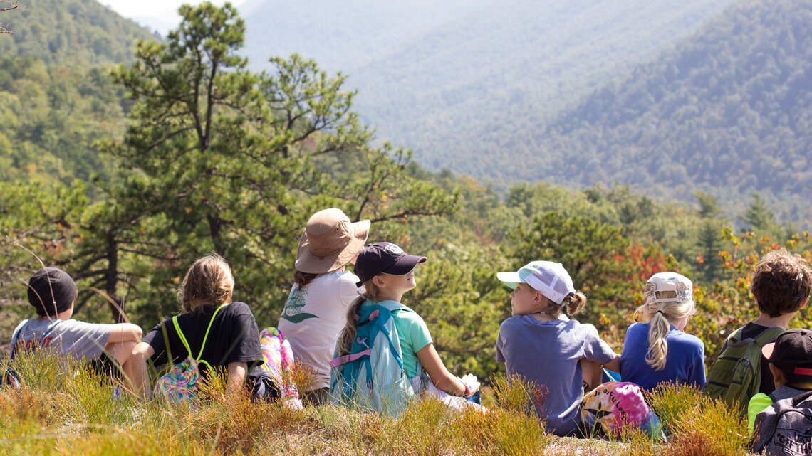 Campers take in 'the joy of discovery' around the woods at Green River Preserve