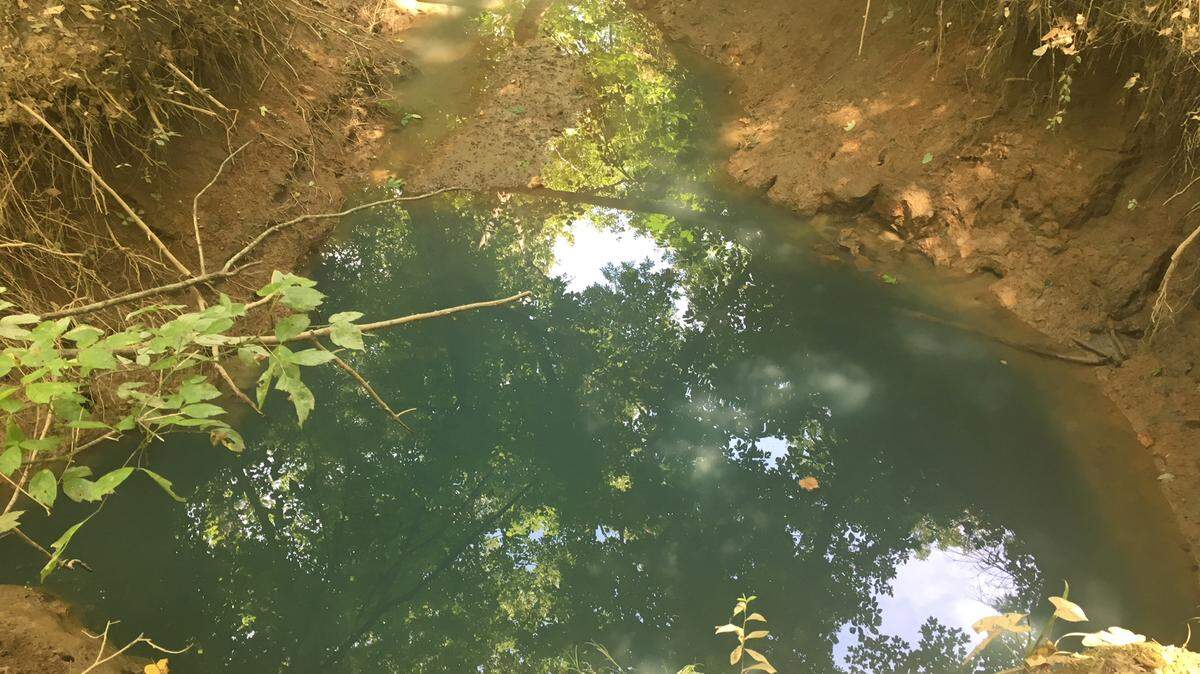 Mecklenburg County officials are investigating how thousands of gallons of blue portable-toilet waste reached a ditch that flows to Mallard Creek near PNC Music Pavilion.