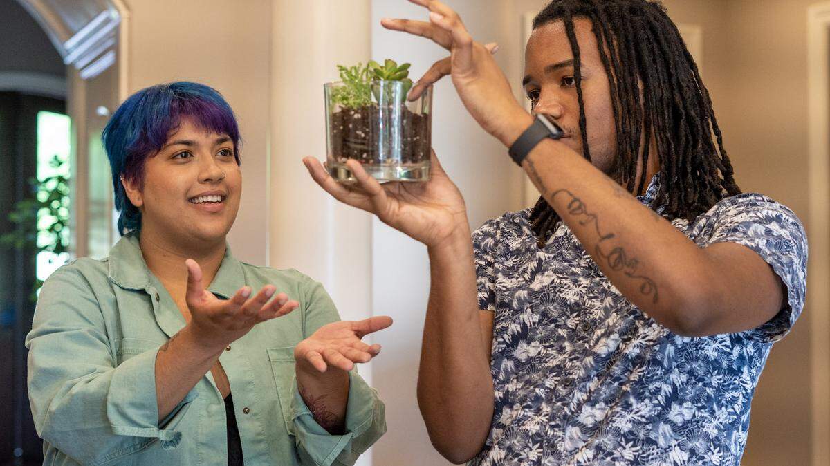 Create your own terrarium at Twigs & Figs, opening July 17 in Ballantyne.