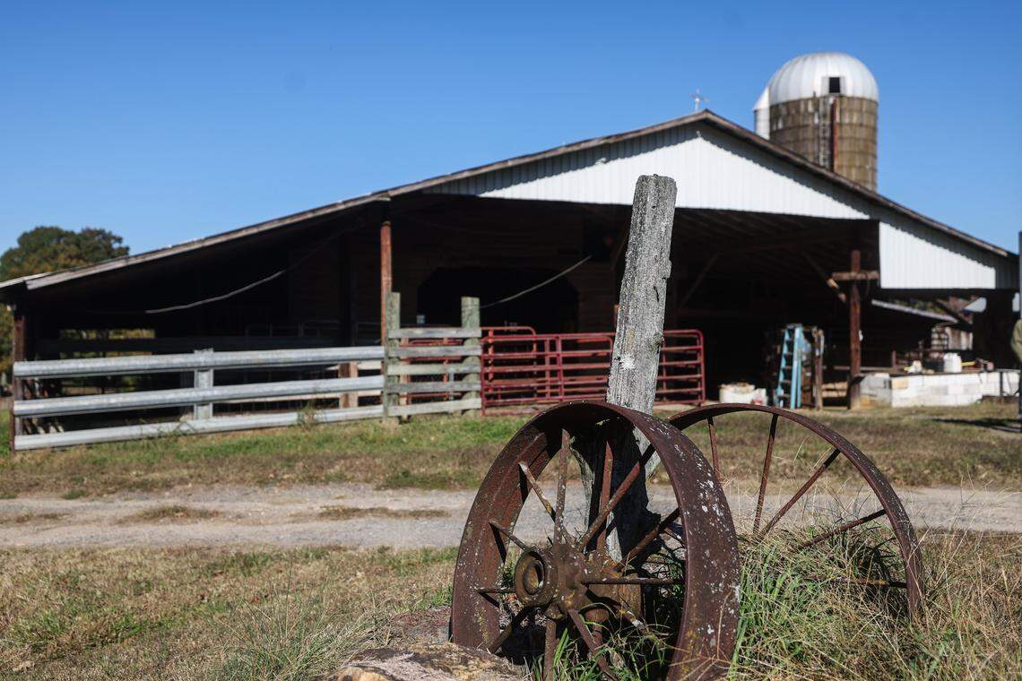 Two rusted wagon wheels, bookending a single wooden post, hold a significant place in the history of Westmoreland Farm. Believed to have been part of the original barn when Keith Westmoreland’s grandfather purchased the land in 1913, these wheels stand as a testament to the farm’s past. 