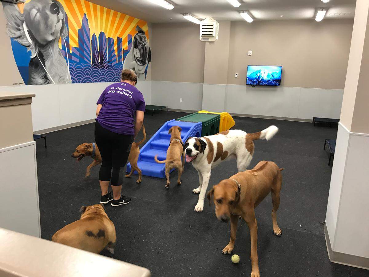 Doggy daycare is offered on-site at Inspire SouthPark for an additional $29 a day.