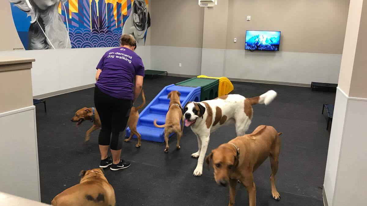Doggy daycare is offered on-site at Inspire SouthPark for an additional $29 a day.