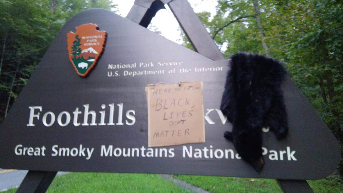 A strange act of vandalism that combined a bear skin with a reference to the Black Lives Matter movement is under investigation at the Great Smoky Mountains National Park.