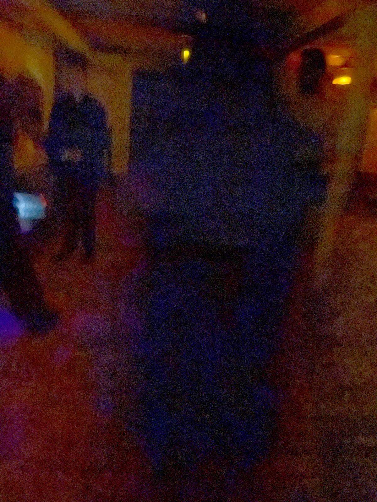 The black blobby figure in this image was invisible to Debbie Hunt until she looked back at the picture from her time investigating Historic Rosedale. CAPS encourages participants to take pictures of empty spaces to see if something would appear in the shot.