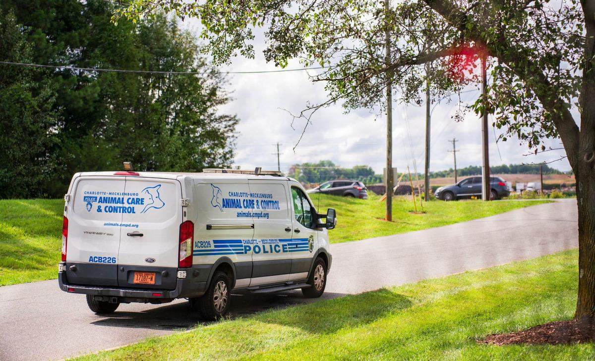 A Charlotte Animal Care and Control vehicle parked outside of the facility on July 25, 2024.